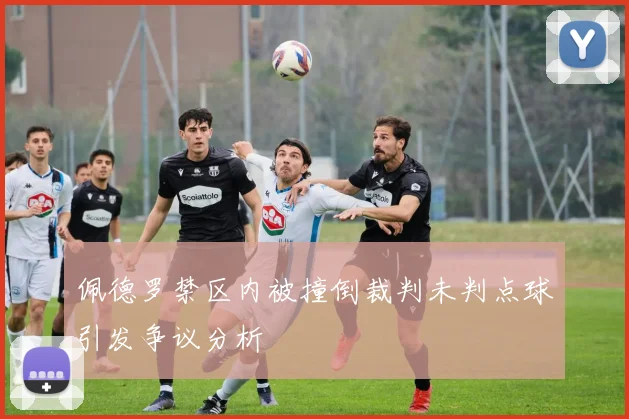 佩德罗禁区内被撞倒裁判未判点球引发争议分析